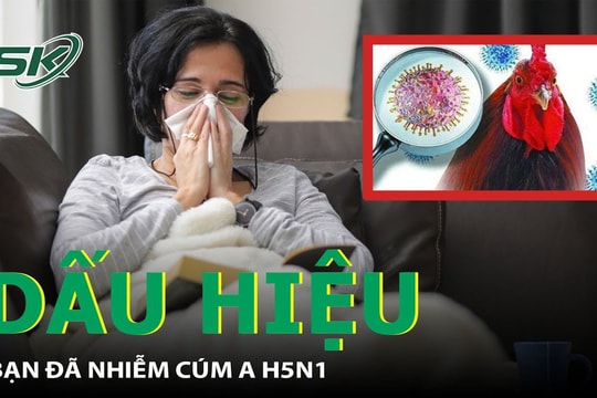 Dấu hiệu bạn đã nhiễm cúm A H5N1