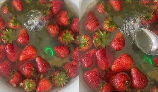 Sốc nặng cảnh dâu tây nổi váng, sủi bọt khi cho vào máy sục