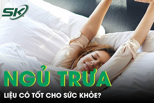 Ngủ trưa liệu có tốt cho sức khỏe như nhiều người nghĩ?