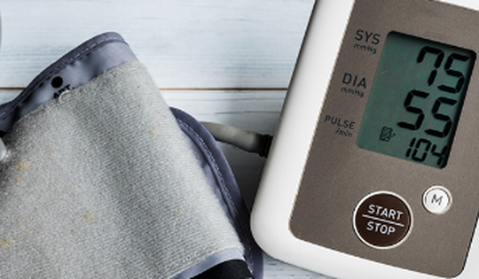 Món ăn bài thuốc dành cho người huyết áp thấp