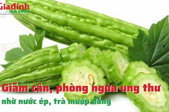 Giảm cân, phòng ngừa ung thư nhờ nước ép, trà mướp đắng