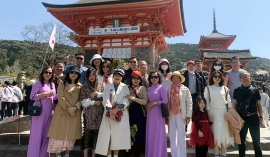 Khách Nhật hồi phục chậm, người Việt đổ đi Nhật ngắm hoa anh đào