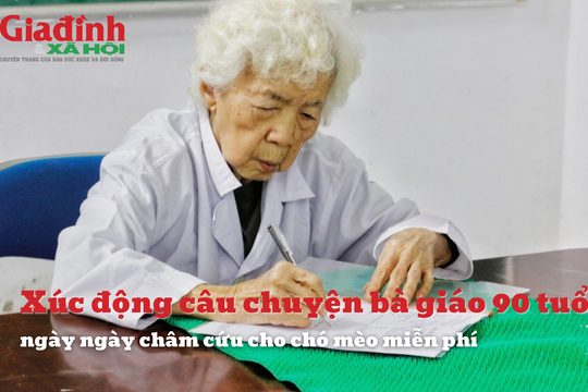 Xúc động bà giáo già ngày ngày châm cứu cho thú y miễn phí