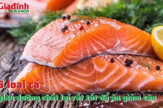 5 loại cá giàu dưỡng chất lại rất tốt để ăn giảm cân