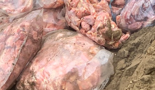 Không rõ nguồn gốc xuất xứ, tiểu thương vẫn nhập hơn 600kg cổ, cánh gà tiêu thụ kiếm lời