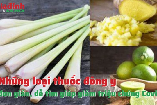 Những loại thuốc đông y dễ tìm giúp giảm triệu chứng Covid