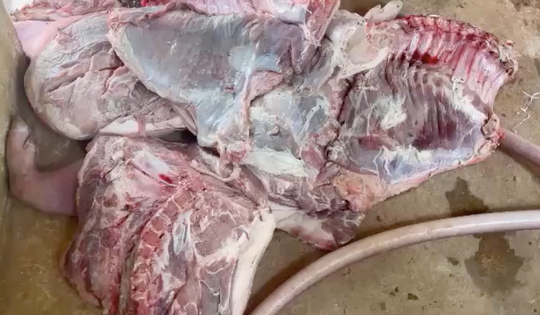 Hơn 1,7 tấn thịt lợn thâm tím, bốc mùi hôi thối, tiểu thương vẫn chỉ đạo nhân viên lóc thịt, chế biến lại để kiếm lời