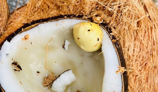Thứ tinh túy bên trong quả dừa từng bị bỏ đi nay được bán với giá cao vẫn hút người mua ngày hè