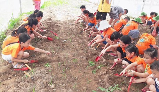 Nở rộ các khóa học, trại hè dù trẻ chưa được nghỉ hè