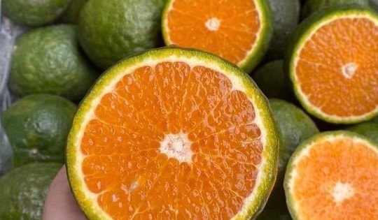 Nắng thiêu đốt, cam sành giải nhiệt giá rẻ bất ngờ