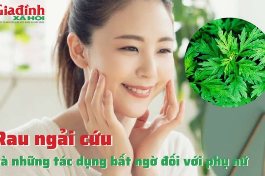 Rau ngải cứu và những tác dụng bất ngờ đối với phụ nữ