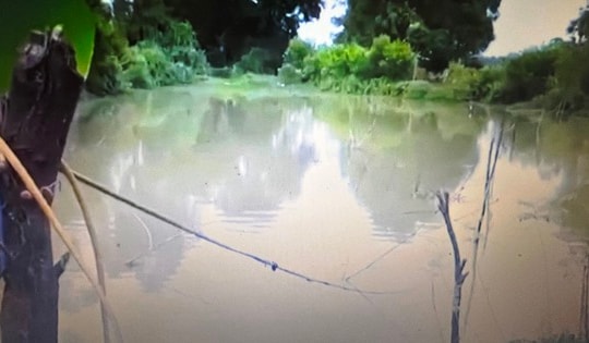 Giăng dây điện bẫy chuột, nhiều cái chết thương tâm đã xảy ra