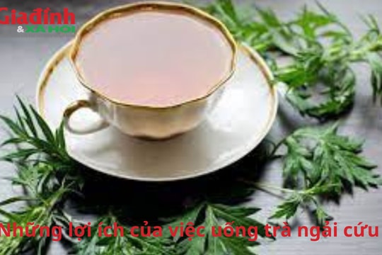 Những lợi ích của việc uống trà ngải cứu