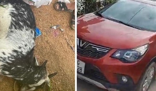 Hà Nội: Bắt tạm giam 3 cựu công an bắn chết dê của dân