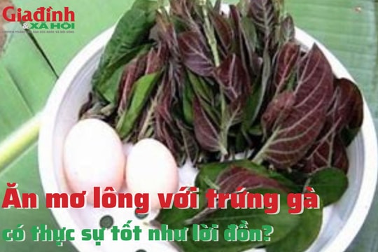 Ăn mơ lông với trứng gà có thực sự tốt như lời đồn?
