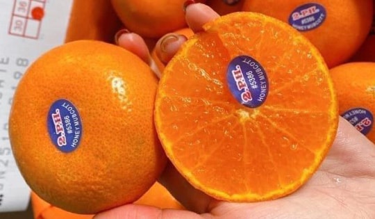 Quýt Úc đổ về chợ Việt giá rẻ khó tin, chỉ 20.000 đồng/kg