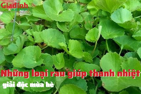 Những loại rau giúp thanh nhiệt, giải độc mùa hè