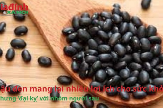 Đậu đen có rất nhiều lợi ích cho sức khỏe nhưng ‘đại kỵ’ với nhóm người sau