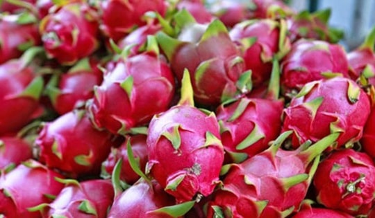 Giá sầu riêng tăng vọt, nho Nhật, cherry Mỹ và thanh long Việt cùng giảm sâu