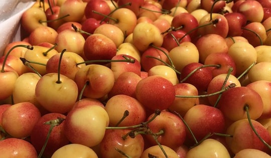 Cherry nhập khẩu bán đầy chợ Việt, hàng Mỹ giá rẻ chưa từng có