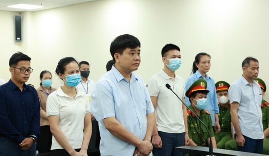 Xét xử vụ 'thổi giá' cây xanh: Ông Nguyễn Đức Chung bị đề nghị từ 2-3 năm tù.