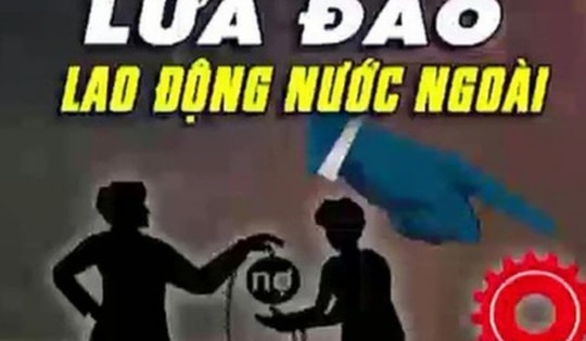 'Việc nhẹ lương cao' và cạm bẫy đánh đổi bằng tính mạng người