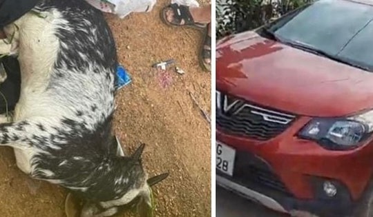 Hà Nội: Hé lộ lý do hoãn phiên toà xét xử 3 cựu công an bắn chết dê của người dân