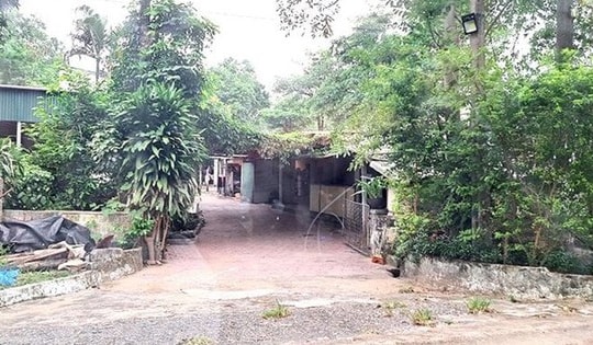 Thanh niên dùng súng hơi bắn vợ bạn nhập viện rồi bỏ trốn