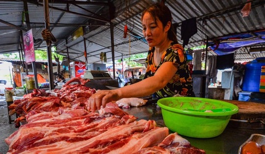 Giá thịt lợn hơi lại ‘chạm đáy’, người chăn nuôi thua lỗ