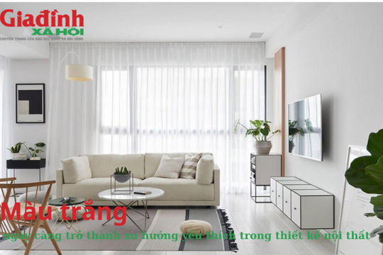 Màu trắng ngày càng trở thành xu hướng yêu thích trong thiết kế nội thất
