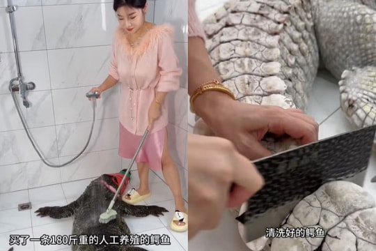 Vlogger ẩm thực gây sốc vì xẻ thịt cá sấu 90 kg để 'câu view'