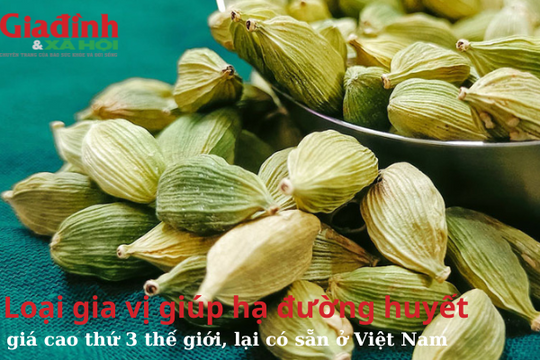Loại gia vị giúp hạ đường huyết, giá cao thứ 3 thế giới, bán rất sẵn ở Việt Nam