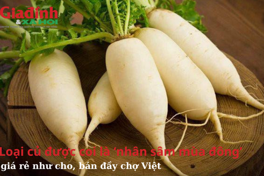 Loại củ được coi là ‘nhân sâm mùa đông’, giá rẻ như cho, bán đầy chợ Việt