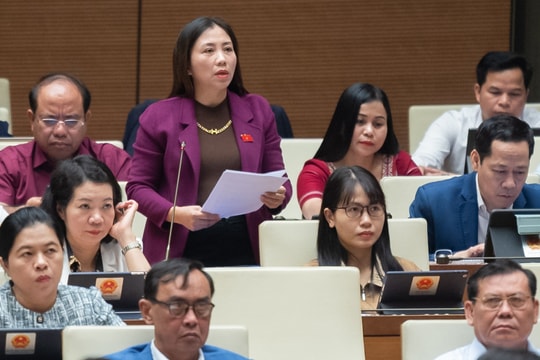 Đề nghị nâng mức trợ cấp thai sản, xây dựng chế độ thai sản đa tầng