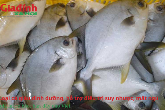 Loại cá giàu dinh dưỡng, hỗ trợ điều trị suy nhược, mất ngủ, giá lại rẻ bèo, bán đầy chợ Việt