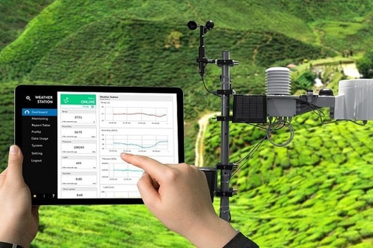 Lập đánh giá tác động môi trường theo loại đất được lấy mẫu