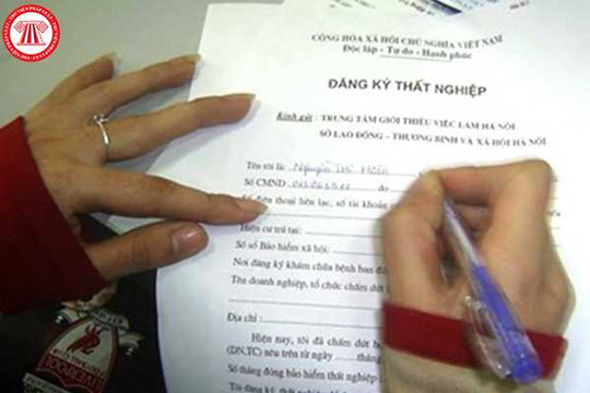 Hồ sơ hưởng trợ cấp thất nghiệp gồm những gì? Mẫu đơn đề nghị hưởng trợ cấp thất nghiệp mới nhất