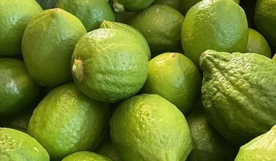 Chanh Quảng Đông đắt đỏ và nỗi buồn cam sành ‘ngọt nước’ giá bằng cốc trà đá