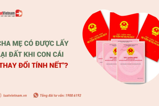 Cha mẹ có được lấy lại đất đã cho khi con bất hiếu?