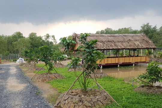 Khi nào được chuyển mục đích sử dụng đất?