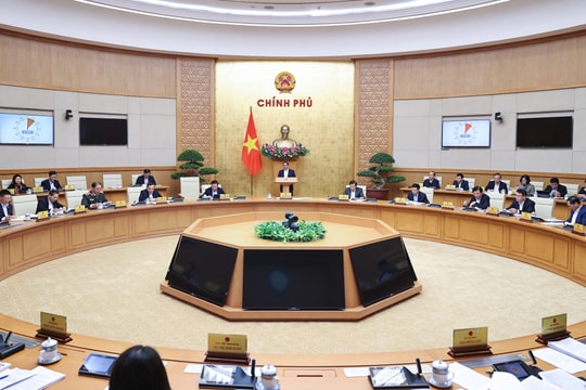 Điều động, luân phiên bác sĩ về cơ sở; thống nhất Trung tâm y tế thuộc UBND cấp huyện; xây dựng Đề án thành lập cơ quan Kiểm soát bệnh tật Trung ương