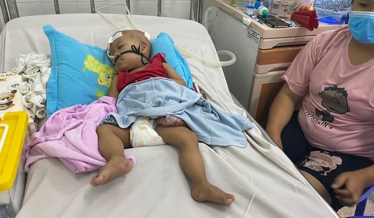 Bệnh đường hô hấp gia tăng: Hệ quả từ dùng kháng sinh… ngẫu hứng