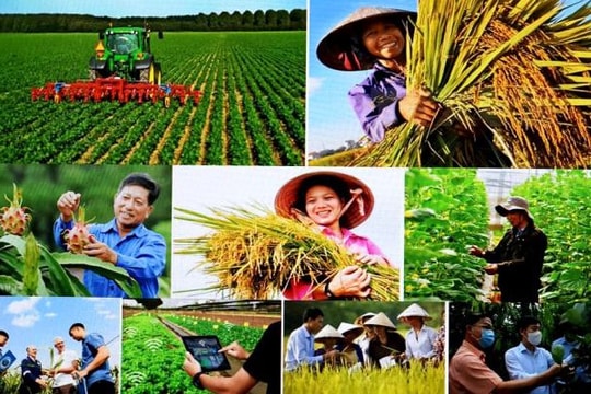 TOÀN VĂN: Nghị quyết của Bộ Chính trị về đổi mới, nâng cao chất lượng hoạt động của Hội Nông dân Việt Nam