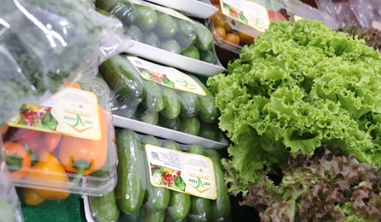 Sản phẩm tại 3 chợ đầu mối TPHCM bị tiểu thương pha trộn trước khi bán ra chợ lẻ