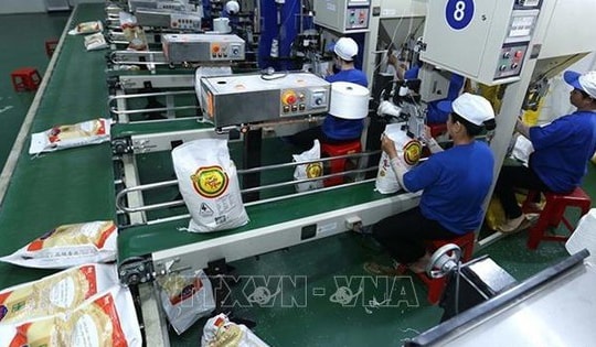 Giá gạo Việt Nam tăng lên mức cao nhất trong hơn 15 năm