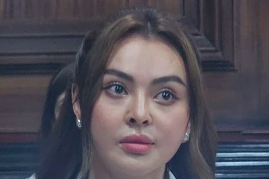 Từ vụ Trang Nemo, phụ nữ mang thai có được hoãn thi hành án?