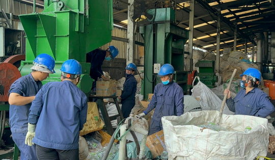 Tạm giữ gần 25 tấn nội tạng động vật đông lạnh không hạn sử dụng, không nguồn gốc