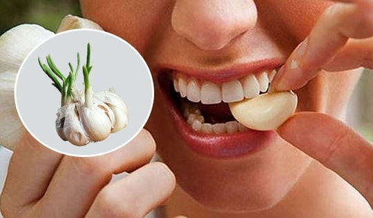 Tỏi mọc mầm đừng vứt đi, ăn theo cách này giúp ngừa bệnh đột quỵ và bệnh tim mạch hiệu quả!