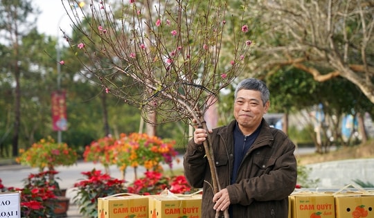 Hà Nội tổ chức 83 điểm chợ hoa Xuân phục vụ người dân mua sắm Tết