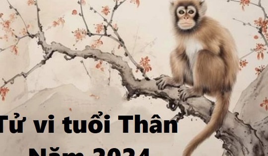 Tử vi tuổi Thân 2024: Cục diện Tam Hợp nâng đỡ mạnh mẽ, đón tin vui tới tấp
